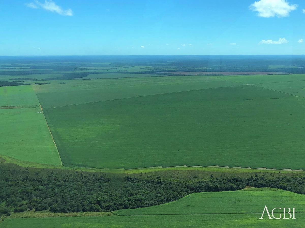 Fazenda Aurora