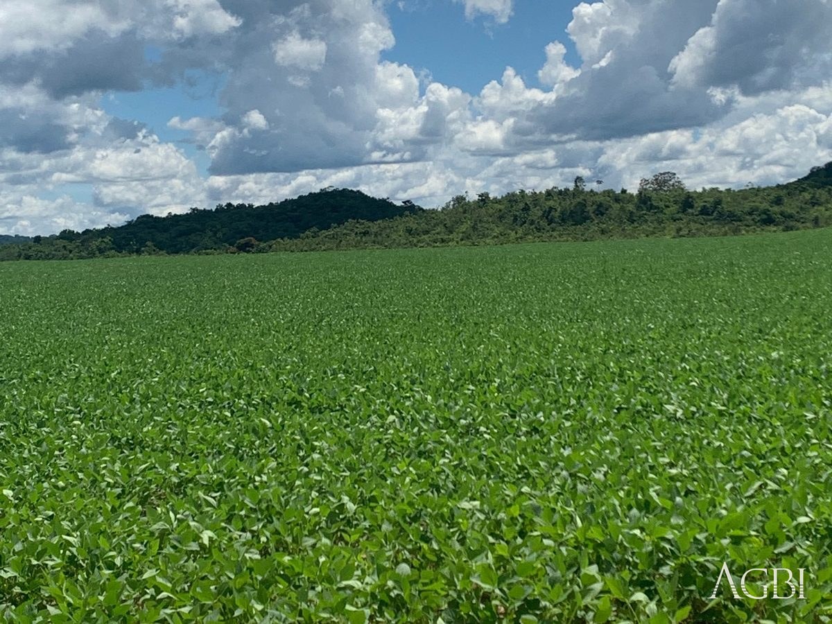 Fazenda Alvorada